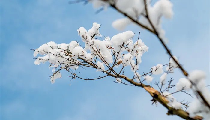 亚岁是哪个节气 亚岁指的是什么节气