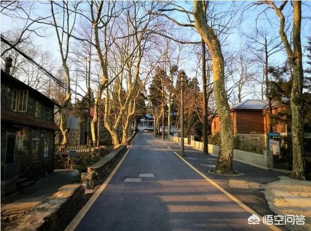 上海出发，二日游乘动车到哪里比较适合？