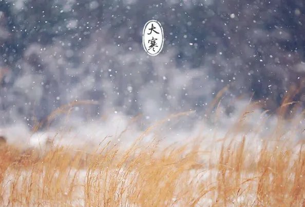 二十四节气图一套 美得令人窒息的二十四节气图