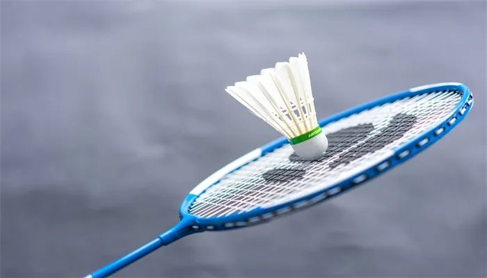 羽毛球上有多少根羽毛