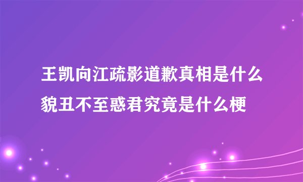 王凯向江疏影道歉真相是什么貌丑不至惑君究竟是什么梗