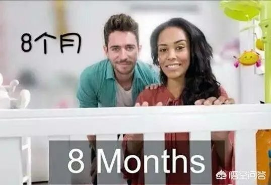 卡通片大全在线观看0-1岁适合看什么？