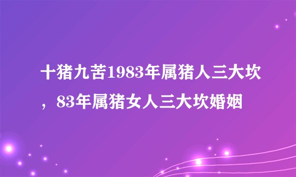 十猪九苦1983年属猪人三大坎，83年属猪女人三大坎婚姻