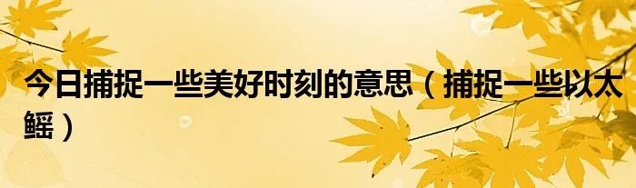 今日捕捉一些美好时刻的意思（捕捉一些以太鳐）