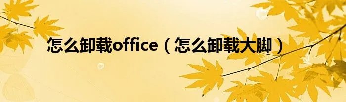 怎么卸载office（怎么卸载大脚）