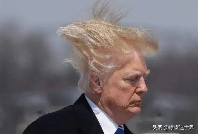 特朗普和拜登的首场辩论结束,都有什么经典对白呢?