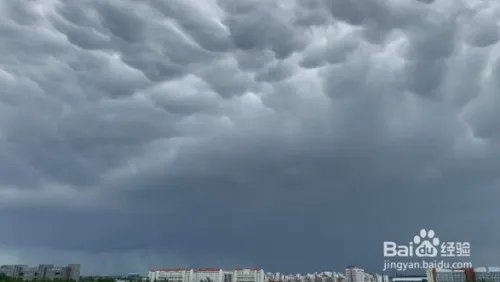 北京现乳状云，乳状云是什么？