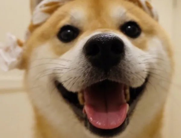 一分钟逗笑全场的笑话有哪些？