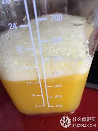 中了电视购物的毒！HUROM 韩国惠人 HU-500DG 原汁机