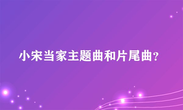 小宋当家主题曲和片尾曲？