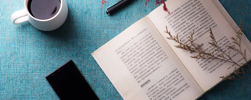 什么是白皮本书 什么是指白皮本书