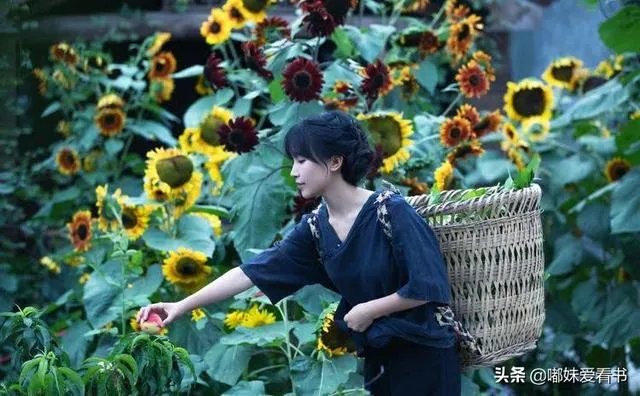 对于李子柒是否是文化输出有什么看法？