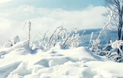 关于冬至的说说