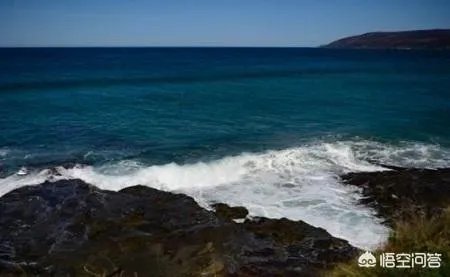 你有哪些去墨尔本的旅游攻略分享？你有哪些自由行攻略？