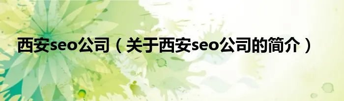 西安seo公司（关于西安seo公司的简介）