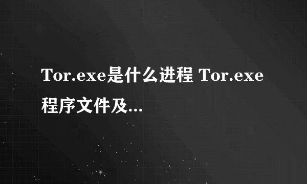 Tor.exe是什么进程 Tor.exe程序文件及功能介绍
