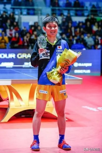 樊振东评价张本智和,称其“非常向上,永远打不服”,是怎么回事?如何评价?