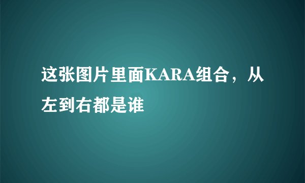 这张图片里面KARA组合，从左到右都是谁