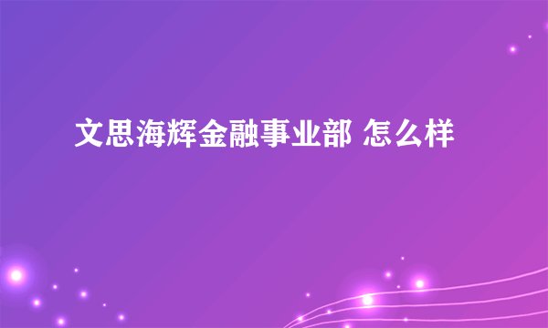 文思海辉金融事业部 怎么样