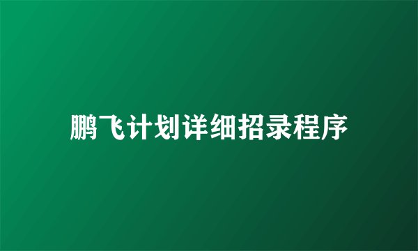 鹏飞计划详细招录程序