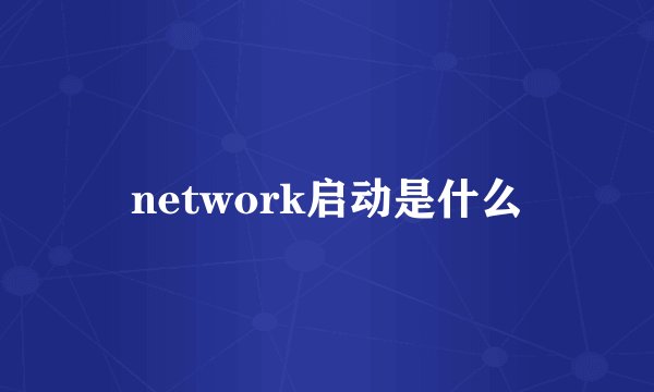 network启动是什么