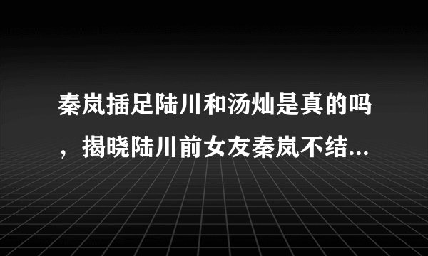 秦岚插足陆川和汤灿是真的吗，揭晓陆川前女友秦岚不结婚的真相
