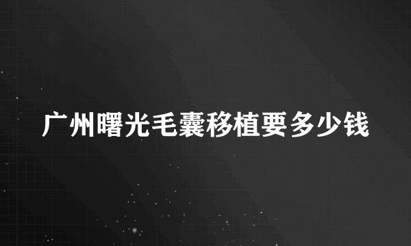 广州曙光毛囊移植要多少钱
