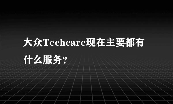 大众Techcare现在主要都有什么服务？