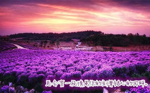 喻言江御景小说 喻言江御景免费阅读