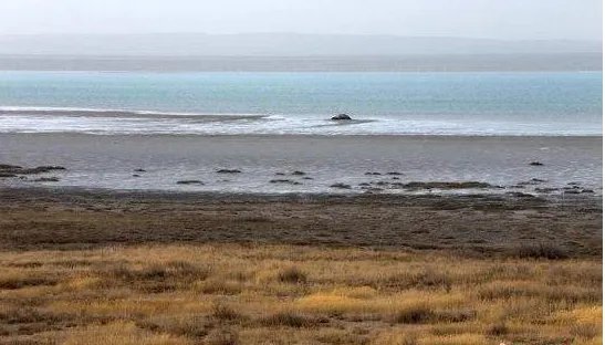 让干枯50年的湖泊重现碧波，中国究竟做了什么？