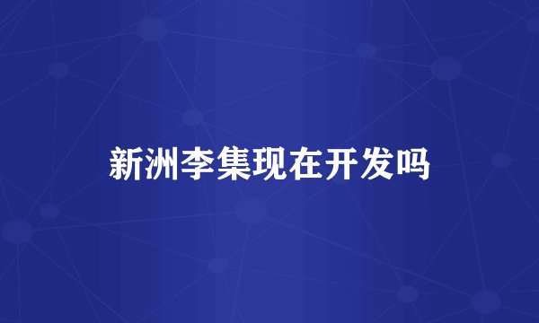 新洲李集现在开发吗