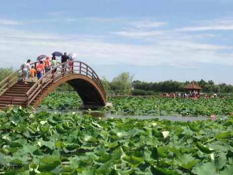 安新白洋淀晚上可以去吗