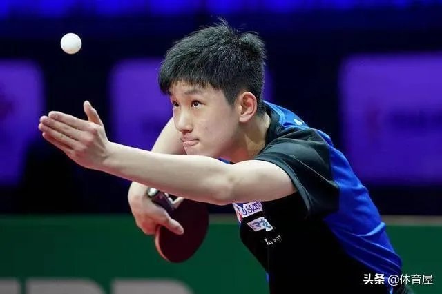 樊振东评价张本智和,称其“非常向上,永远打不服”,是怎么回事?如何评价?