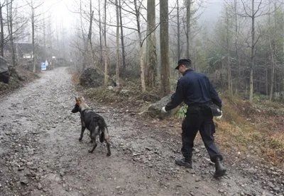 川大一副教授在哪里干什么失联了？