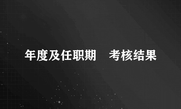 年度及任职期滿考核结果
