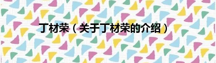 丁材荣（关于丁材荣的介绍）