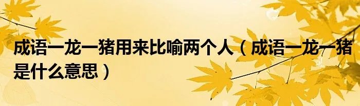 成语一龙一猪用来比喻两个人（成语一龙一猪是什么意思）