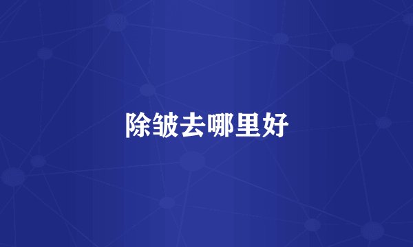 除皱去哪里好