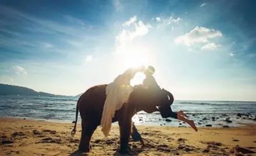 哪里拍婚纱照最好 盘点国外著名的婚纱照拍摄地点