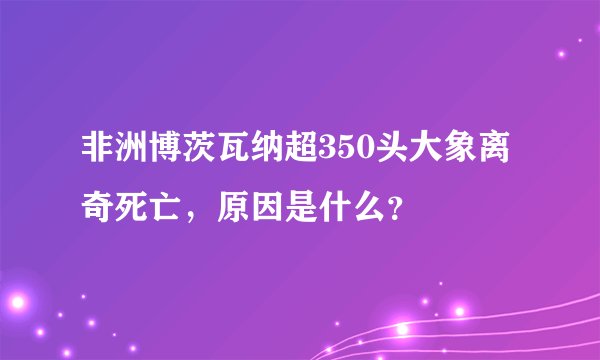非洲博茨瓦纳超350头大象离奇死亡，原因是什么？