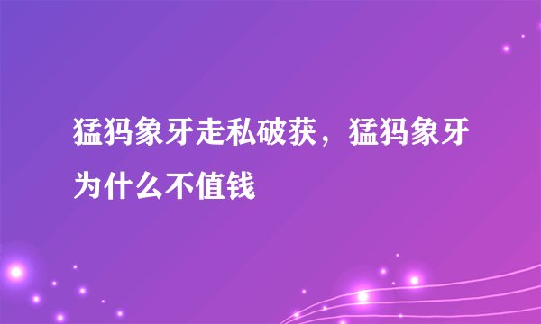 猛犸象牙走私破获，猛犸象牙为什么不值钱