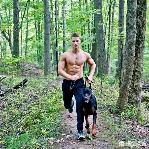 什么狗的耐力最强