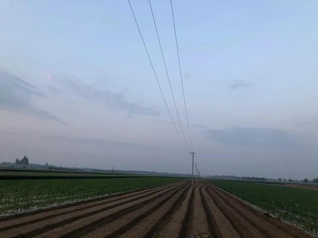 在农村种地最怕的就是“我忙活了一秋，你忙活了一夜”，为什么？