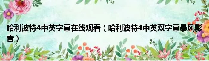 哈利波特4中英字幕在线观看（哈利波特4中英双字幕暴风影音）