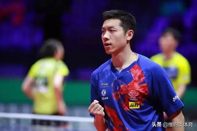 樊振东评价张本智和,称其“非常向上,永远打不服”,是怎么回事?如何评价?