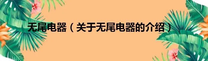 无尾电器（关于无尾电器的介绍）