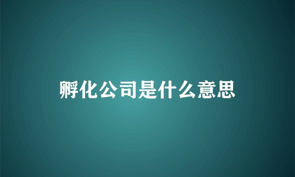 孵化公司是什么意思