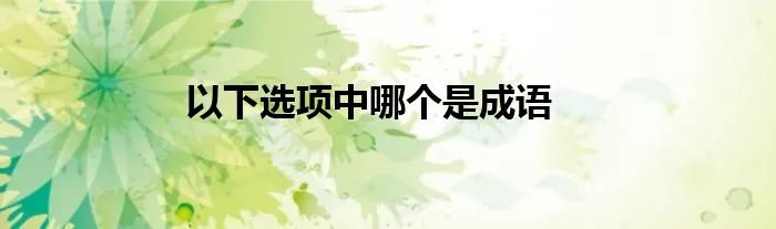 以下选项中哪个是成语