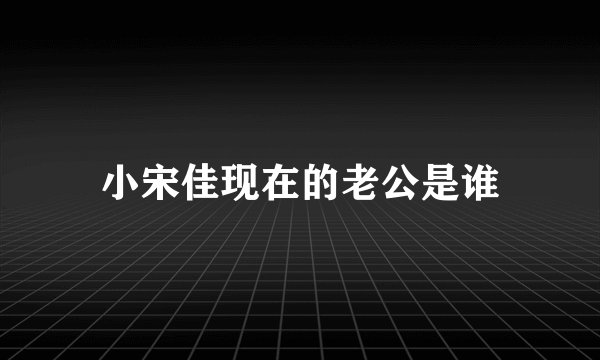 小宋佳现在的老公是谁