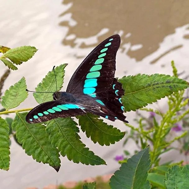 分手当天，你都做了些什么？